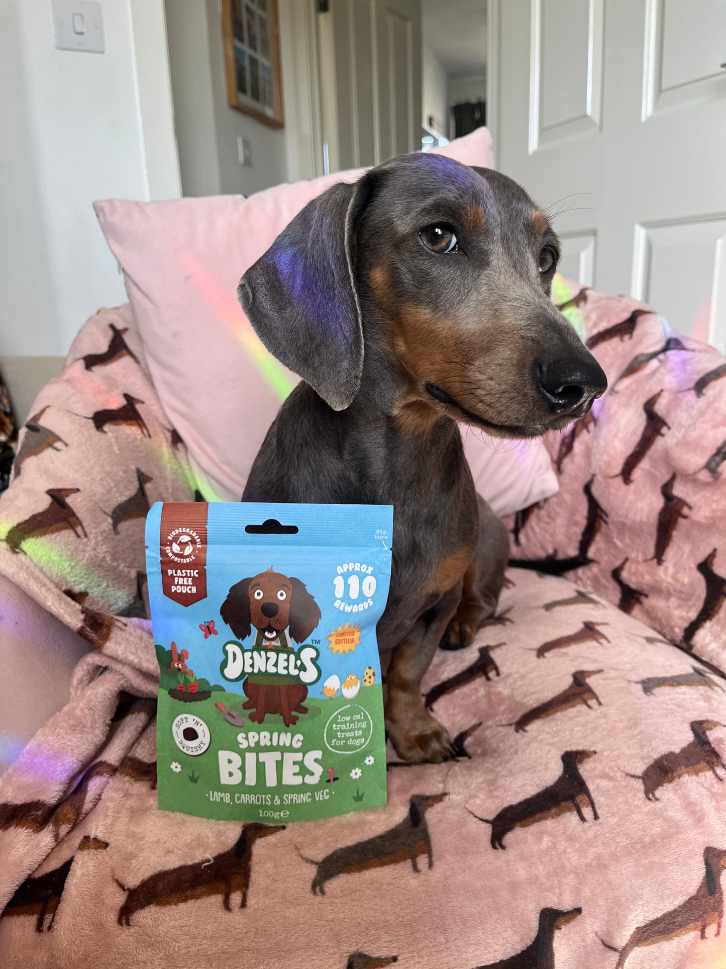 Denzels Spring Bites