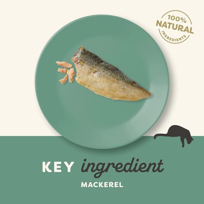 Applaws Natural Adult Cat Treat Mackerel Fillet 30g