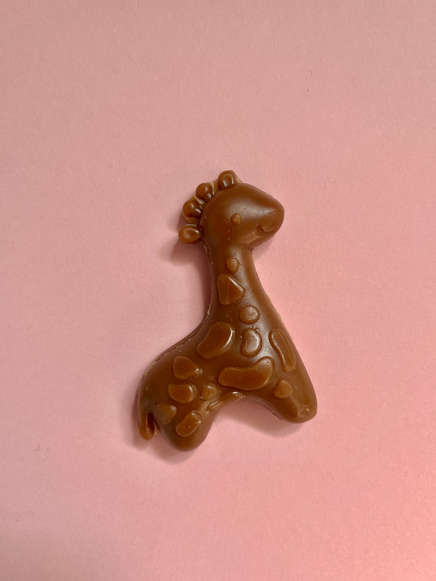 Pumpkin Giraffe Dental Dog Treat