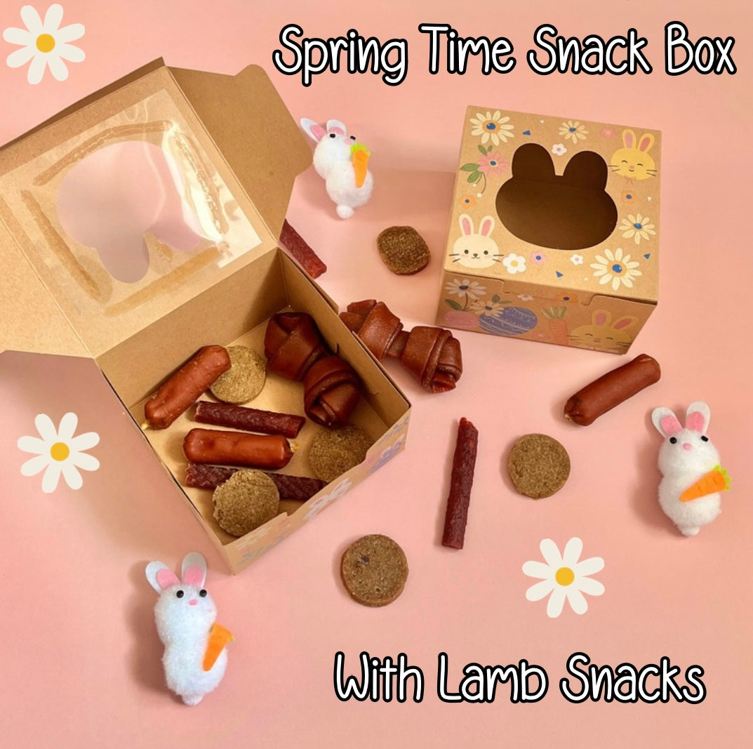 Spring Time Lamb Snack Box
