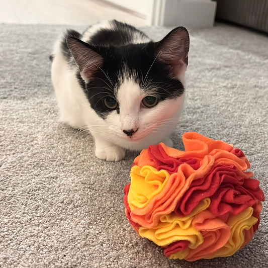 Cat Snuffle Ball