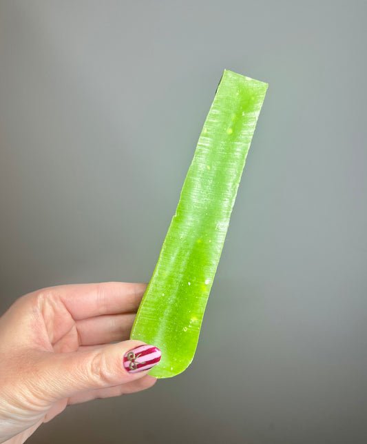 Paw & Co Pantry - Mint & Coconut Yak - Large