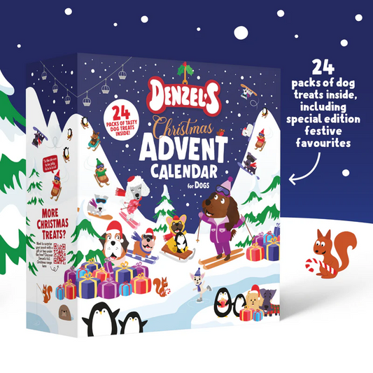 Denzels Advent Calendar