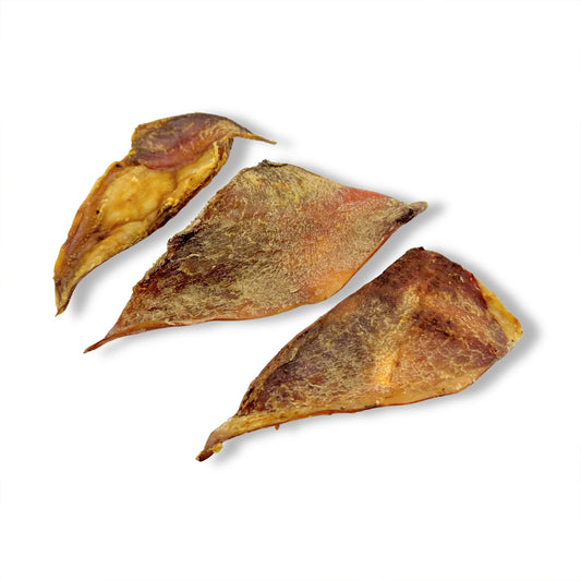 Beef Moon Bone Large